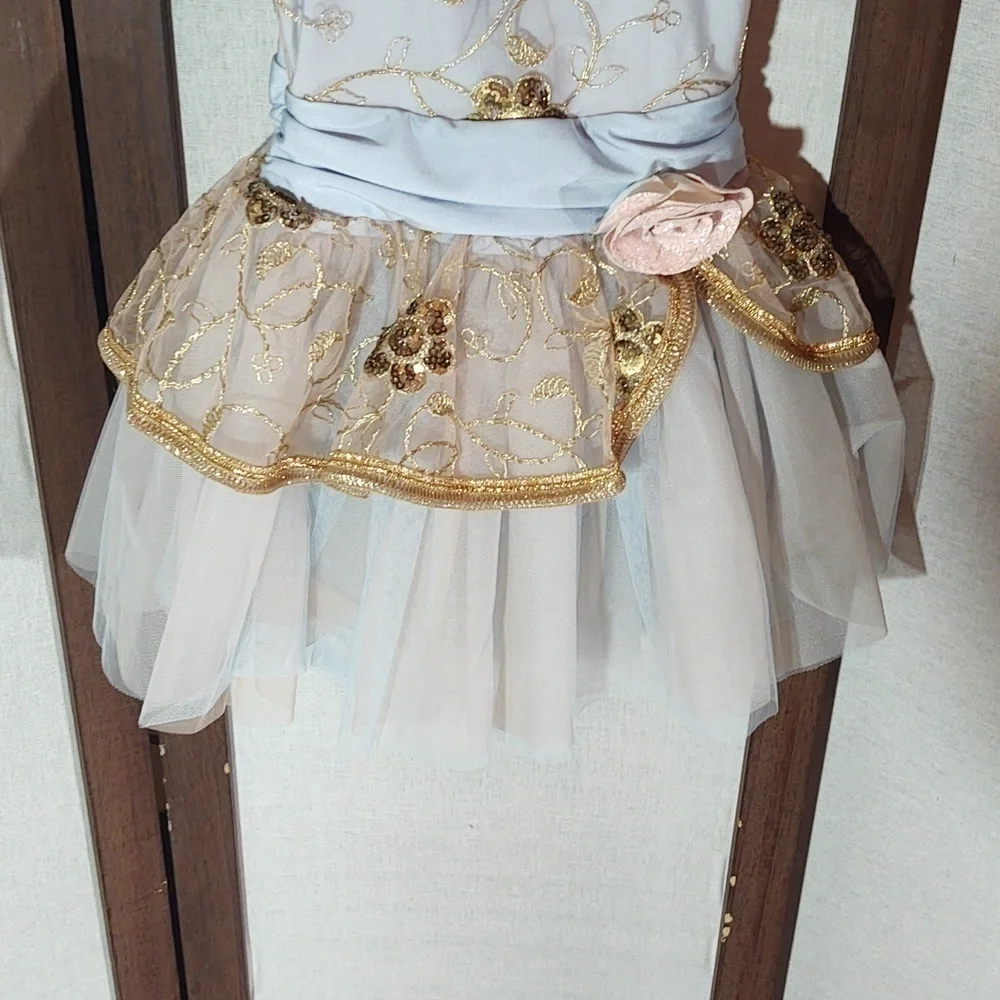 Weissman Lead The Way Sequin Embroidered Dance Dress tutu ballet 13466 Sz IC